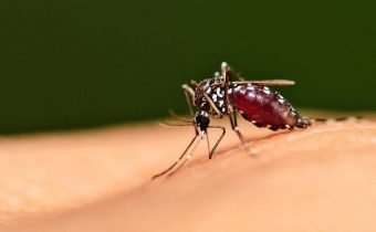 Ilustrasi malaria
