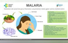 Ilustrasi waspada gejala malaria (Source: Kemenkes RI)
