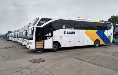 Jadwal DAMRI
