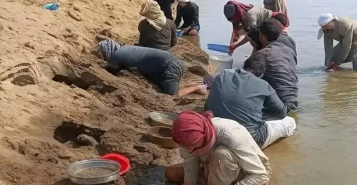 Sejumlah warga sedang mencari emas di Sungai Eufrat di Desa Raqqa. (Source: Shafaq News)