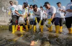 Sri Sultan HB X Hidupkan Hamemayu Hayuning Bawana pada Kebersihan Sungai, Ini Maknanya