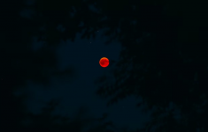 Gerhana Bulan Total 7 September 2025 Bisa Dilihat di Seluruh Indonesia, Catat Jam Tiap Wilayahnya! (unsplash)