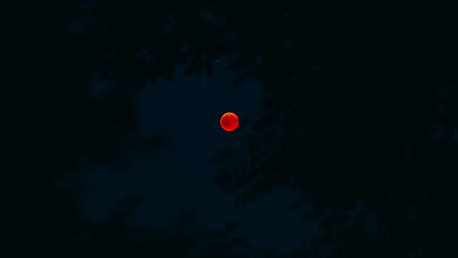 Gerhana Bulan Total 7 September 2025 Bisa Dilihat di Seluruh Indonesia, Catat Jam Tiap Wilayahnya! (unsplash)