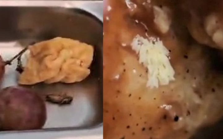 Disdikpora Bantul Ungkap Temuan pada Menu MBG, Diduga Ada Ulat, Telur Lalat, hingga Jangkrik