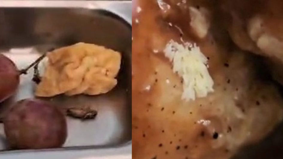 Disdikpora Bantul Ungkap Temuan pada Menu MBG, Diduga Ada Ulat, Telur Lalat, hingga Jangkrik