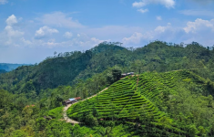 4 Gunung di Sekitar Jogja ini yang Cocok untuk Pendaki Pemula