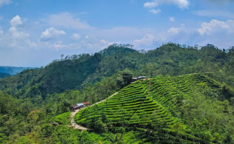 4 Gunung di Sekitar Jogja ini yang Cocok untuk Pendaki Pemula