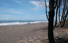 Pantai Kuwaru (Source: Google Maps)