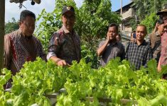 Wali Kota Yogyakarta, Hasto Wardoyo meninjau lahan pertanian di Patangpuluhan (4/9). (Source: Pemkot Jogja)