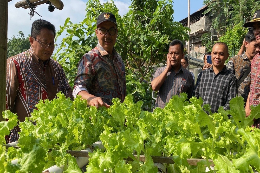 Wali Kota Yogyakarta, Hasto Wardoyo meninjau lahan pertanian di Patangpuluhan (4/9). (Source: Pemkot Jogja)