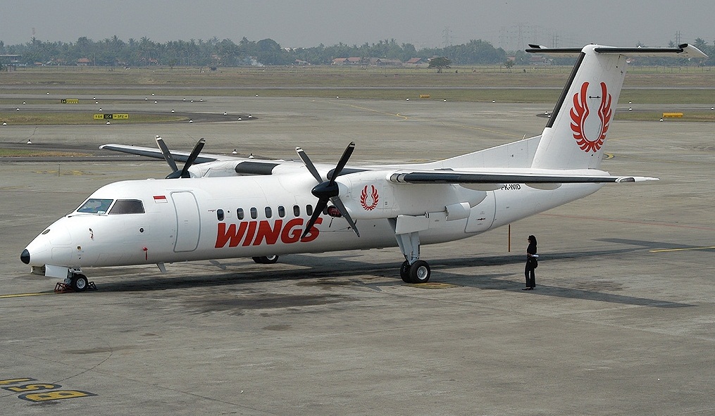 Wings Air (Source: Top Business)