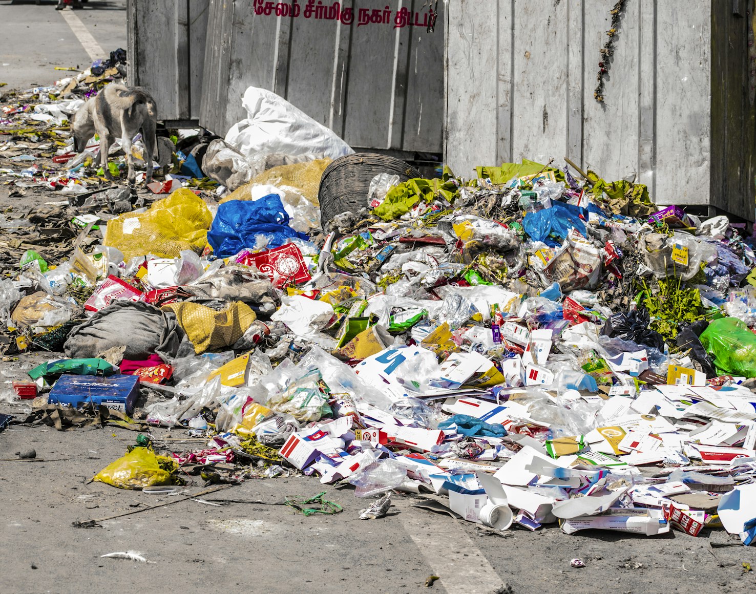 Depo Sampah Penuh, Wali Kota Jogja Andalkan Ember Atasi Krisis