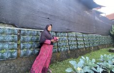 Lorong Sayur Gembira Rejowinangun
