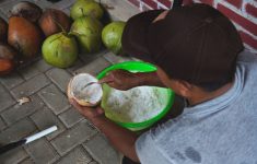 Kampung Kopyor Semuten di Bantul Lahirkan Potensi Unggul dari Inovasi Lokal dan Teknologi Pertanian