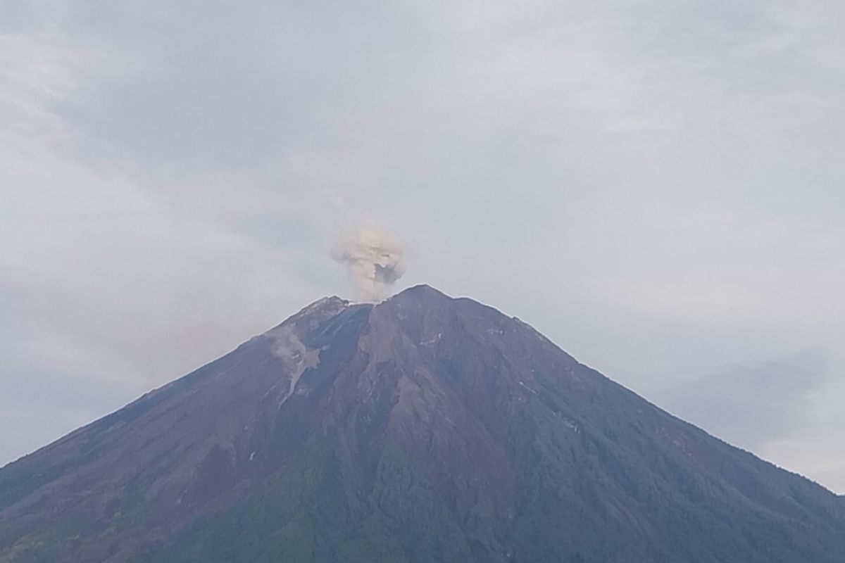 Gunung Semeru Erupsi 137 Kali dalam 24 Jam, Warga Diminta Jauhi Besuk Kobokan 2 Gunung Semeru Erupsi (Source: PVMBG)