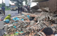 Ilustrasi kecelakaan bus sugeng rahayu tabrak truk pembawa telur