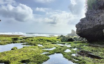 Pantai Dadap Ayam Gunungkidul (Source: Google Maps)