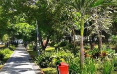RTH Baru di Eks Parkir Abu Bakar Ali
