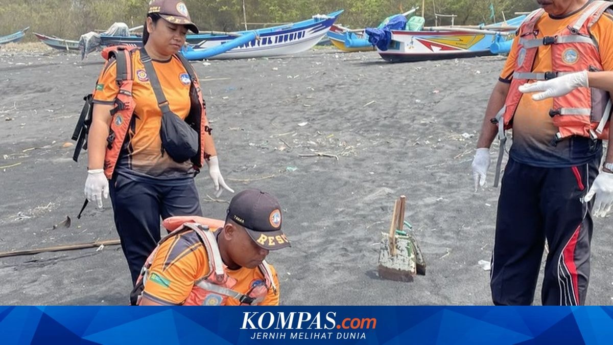 Penyu Lekang Mati Ditemukan di Pantai Glagah Kulon Progo